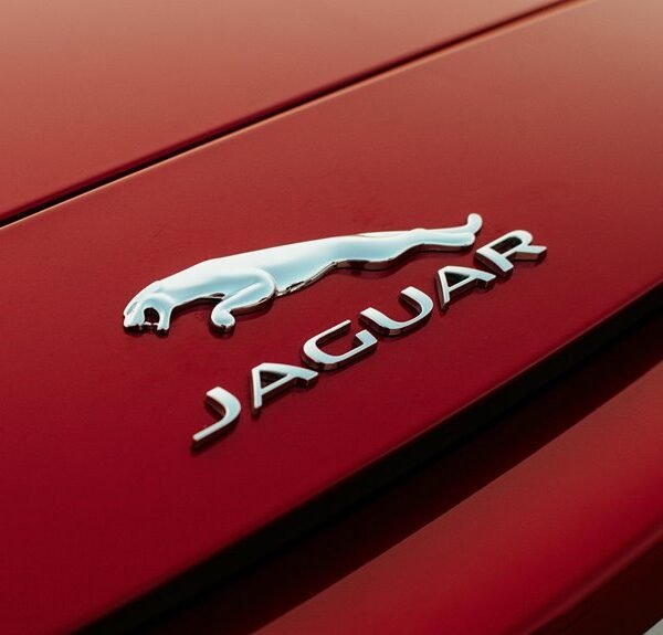 cofemel product specifications revealed